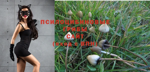 метадон Арсеньев