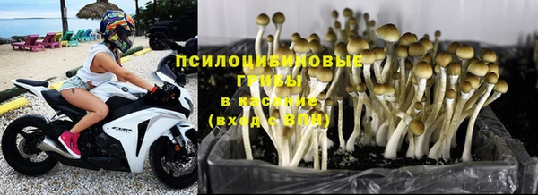 ешки Армянск